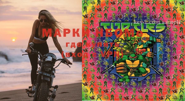 сатива Братск