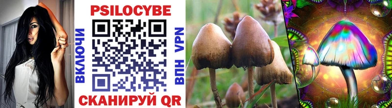 Псилоцибиновые грибы Psilocybe  Купить где  Соликамск 
